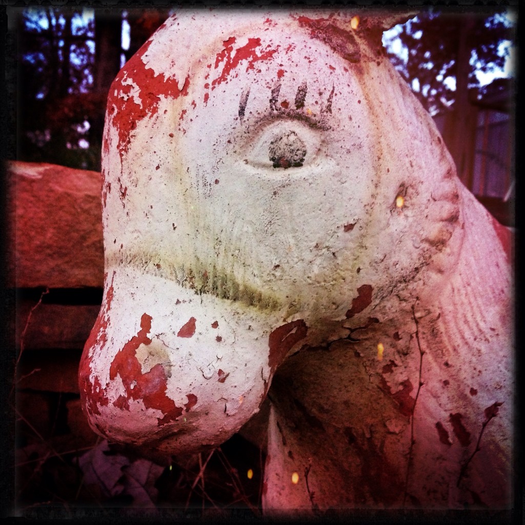 Marion's horsie