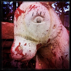 Marion's horsie